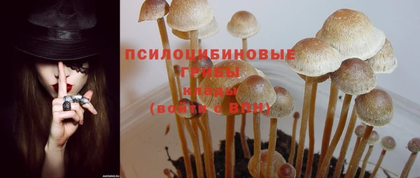 2c-b Вязники