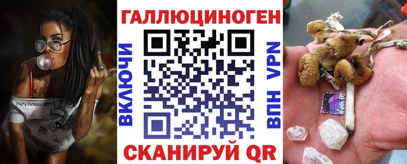 mega ONION  Почеп  Галлюциногенные грибы мухоморы 